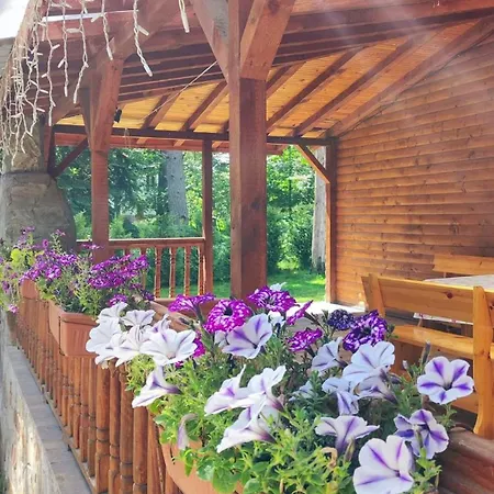 Semesterbostad еко Tsigov Chark