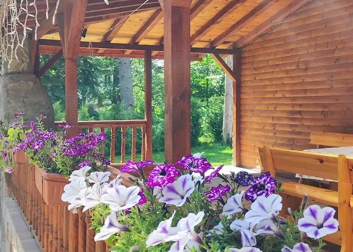 Semesterbostad еко Tsigov Chark